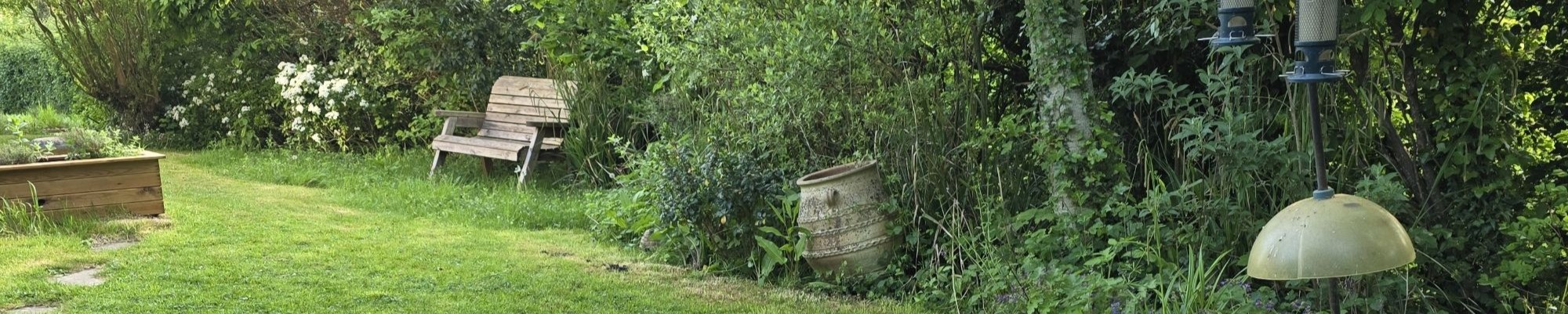 Green Cross Moths Logo